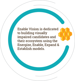 Enable Vision is dedicated to building visually impaired candidates and their ecosystem using the Energize, Enable, Expand & Establish models