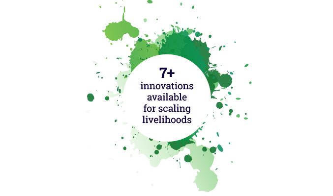 7+ innovations available for scaling livelihoods