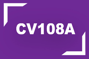 Carnatic Vocal (Alternate) 108A